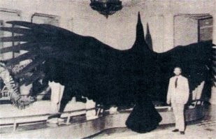 гиперкар  ©
==========
Фигня это всё. Вот гиперкар!