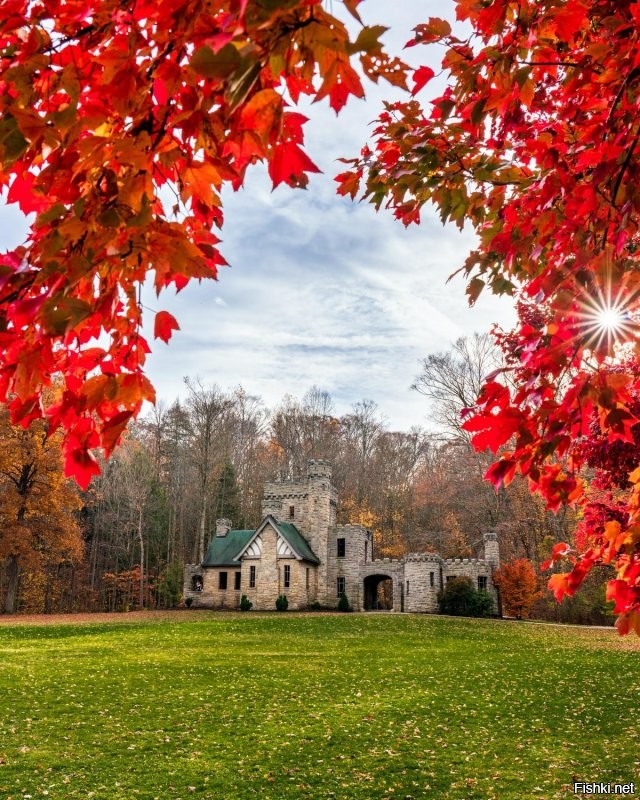 Солянка от 14.11.2022