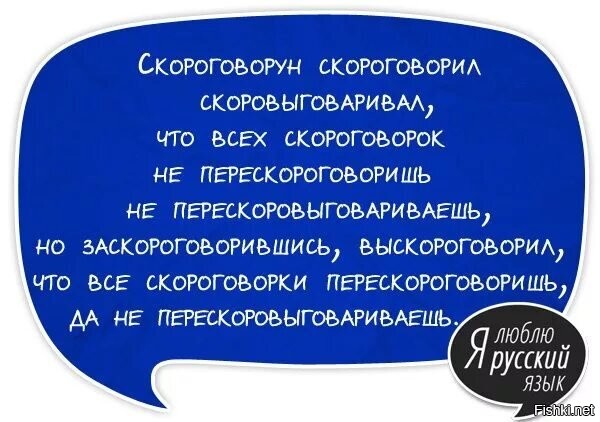 Солянка от 14.11.2022