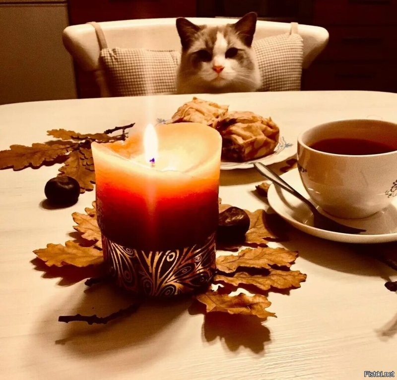 С добрым утром)