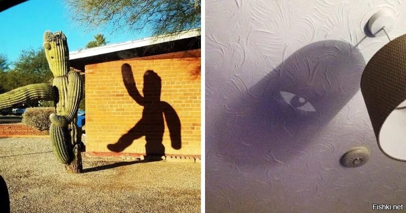 И не всегда тени - от того, что мы представляем.