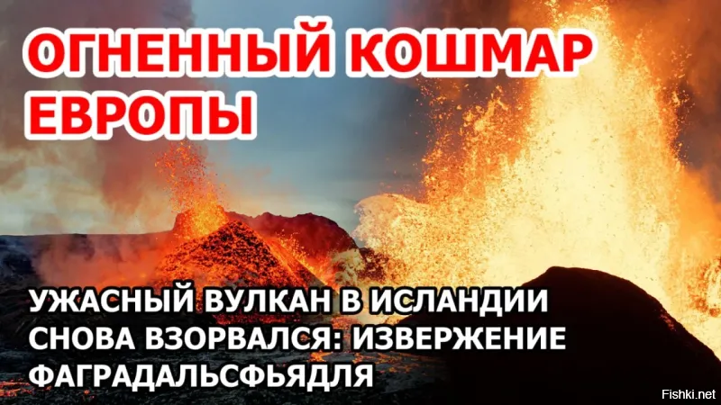 Солянка от 14.11.2022