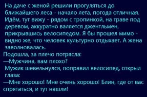 Весёлые картинки