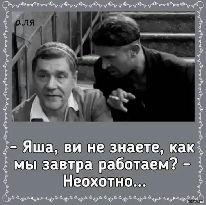 Солянка от 14.11.2022