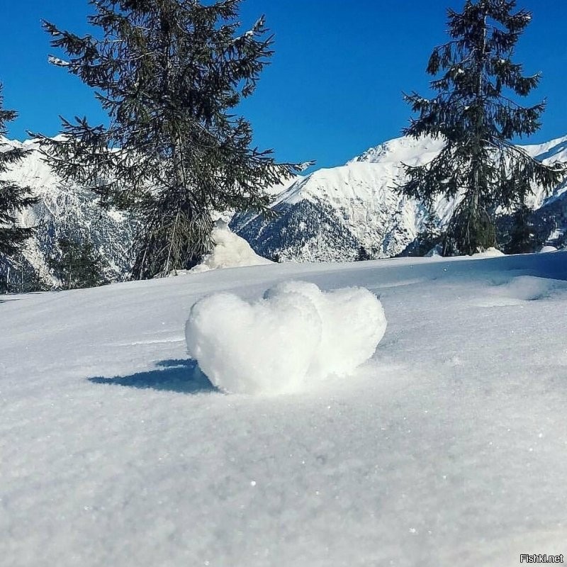 Солянка от 14.11.2022