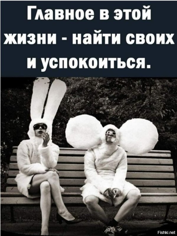 Солянка от 14.11.2022