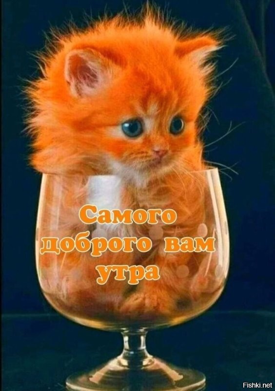 Солянка от 14.11.2022