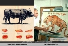 Я думал это схема разделки верблюда... типа: