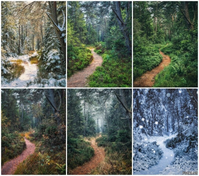 Солянка от 14.11.2022