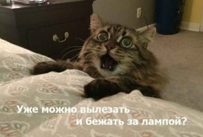 Так вот ты какая, Аннушка-маслоразливательница