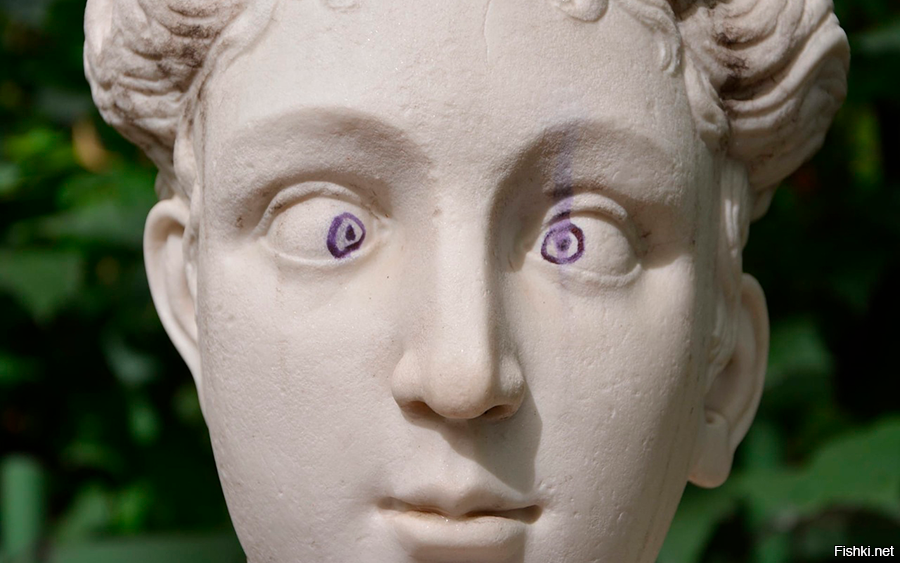 Солянка от 13.11.2022