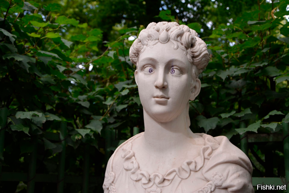 Солянка от 13.11.2022