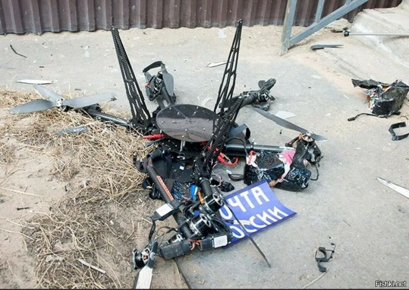 Солянка от 14.11.2022