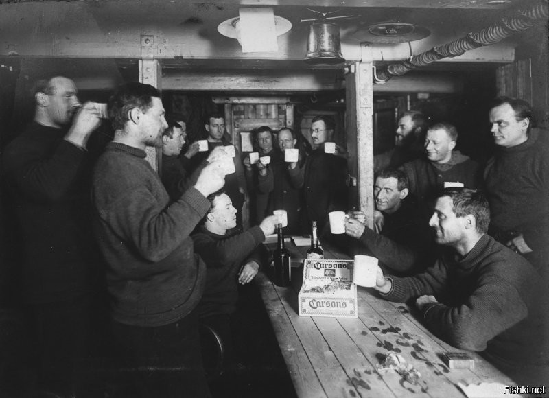 Освежевание пингвина