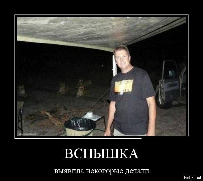 Солянка от 14.11.2022