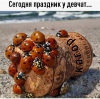 Демотиваторы: зарядись хорошим настроением
