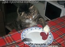 Смешные и познавательные картинки