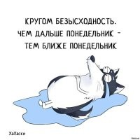 Кот по кличке Понедельник⁠⁠