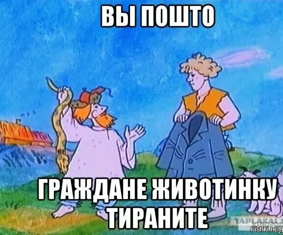 Солянка от 14.11.2022