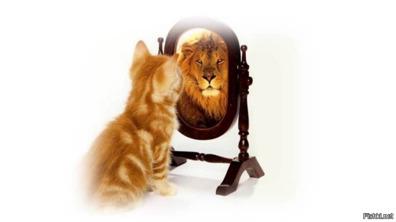 Солянка от 15.11.2022