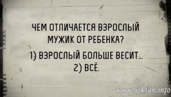 Йожика картинки. Выпуск 239