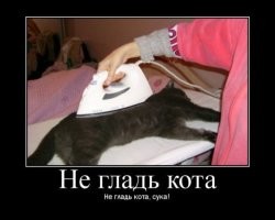 Йожика картинки. Выпуск 239