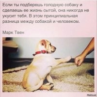 Йожика картинки. Выпуск 239