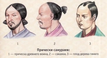 Йожика картинки. Выпуск 240