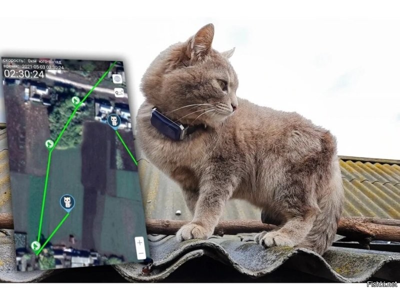 Солянка от 15.11.2022