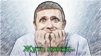 Фотоподборка