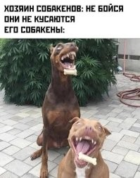 конечно не кусаются,сразу сожрут,вы на кустик сзади посмотрите,