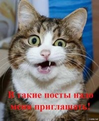 Исторические факты, которые считались выдумкой, а это правда