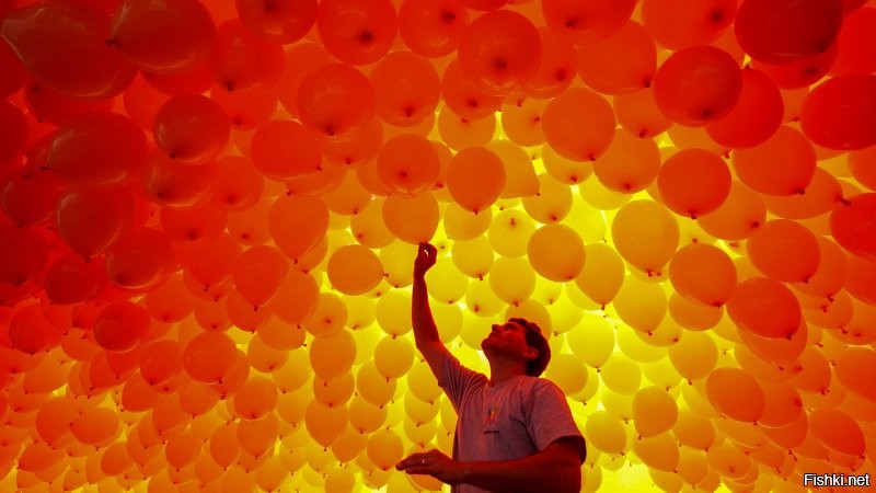 Солянка от 15.11.2022