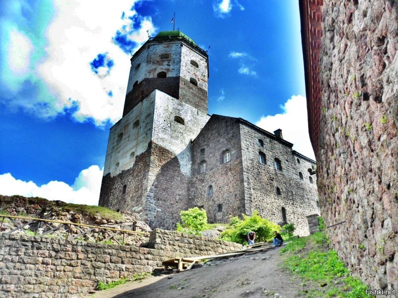 Солянка от 15.11.2022