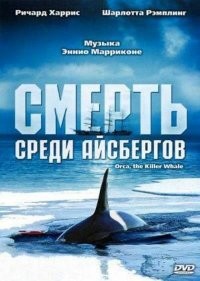 Банда злых косаток затопила яхту