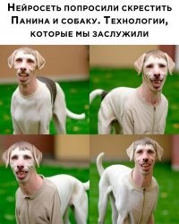 Панин збс вышел. А собака где?