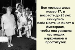 Особенности жизни в Нидерландах, которые удивляют даже соседей-европейцев