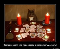 Не ищите здесь смысл. Здесь в основном маразм