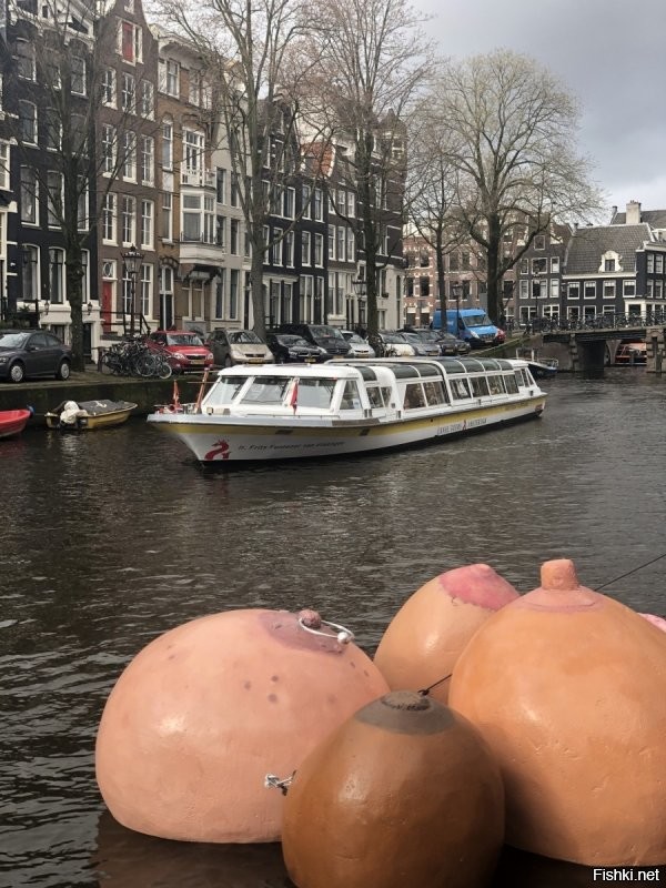 Особенности жизни в Нидерландах, которые удивляют даже соседей-европейцев