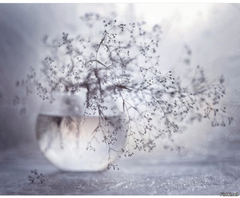 Солянка от 16.11.2022