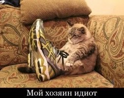 Намешалось