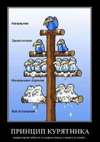 На общую тему