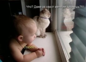 Скрины из соцсетей