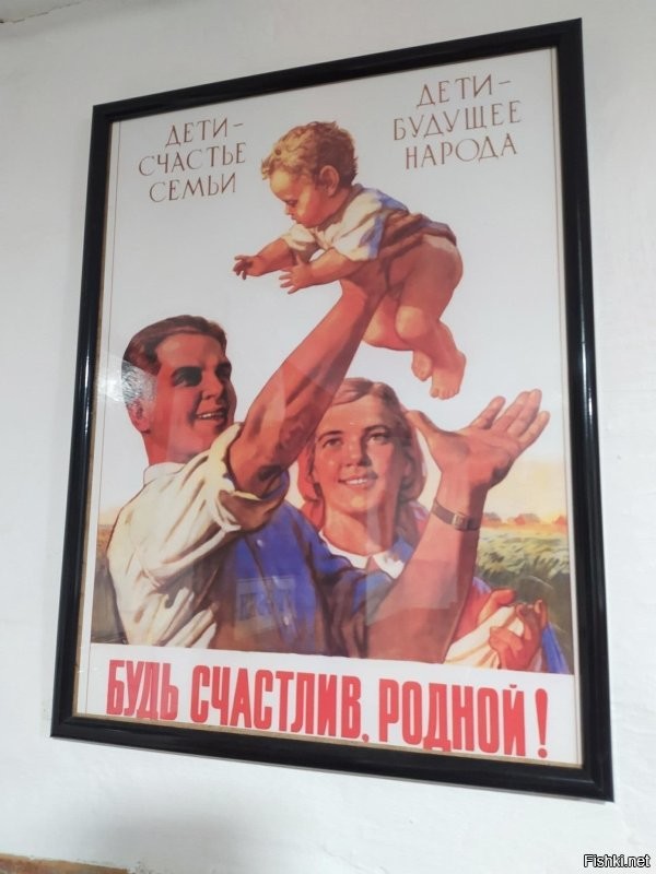 Солянка от 16.11.2022