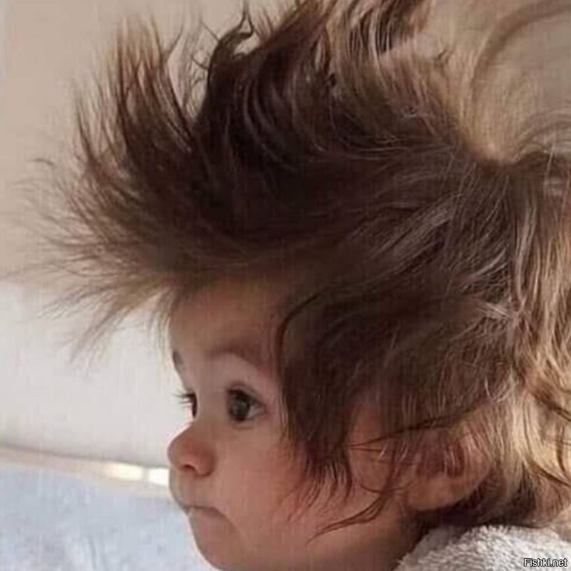 Солянка от 16.11.2022