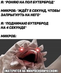 Не ищите здесь смысл. Здесь в основном маразм