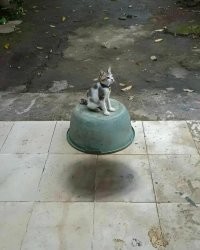 Ракурс решает всё: 45 фотографий, на которые придётся посмотреть дважды