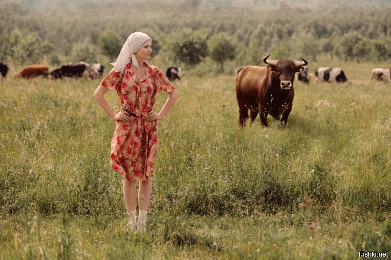 Солянка от 16.11.2022