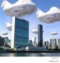Когда коты были большими