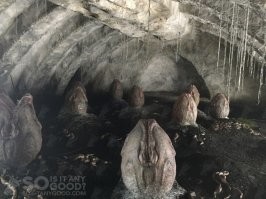 Странные яйца, которые откладывают животные